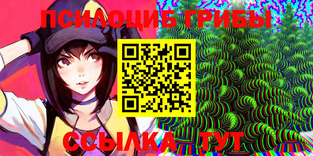 Псилоцибиновые грибы мицелий Долгопрудный