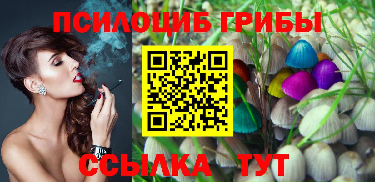 Псилоцибиновые грибы Cubensis  Вход с VPN  Галлюциногенные грибы ЛСД  Долгопрудный 